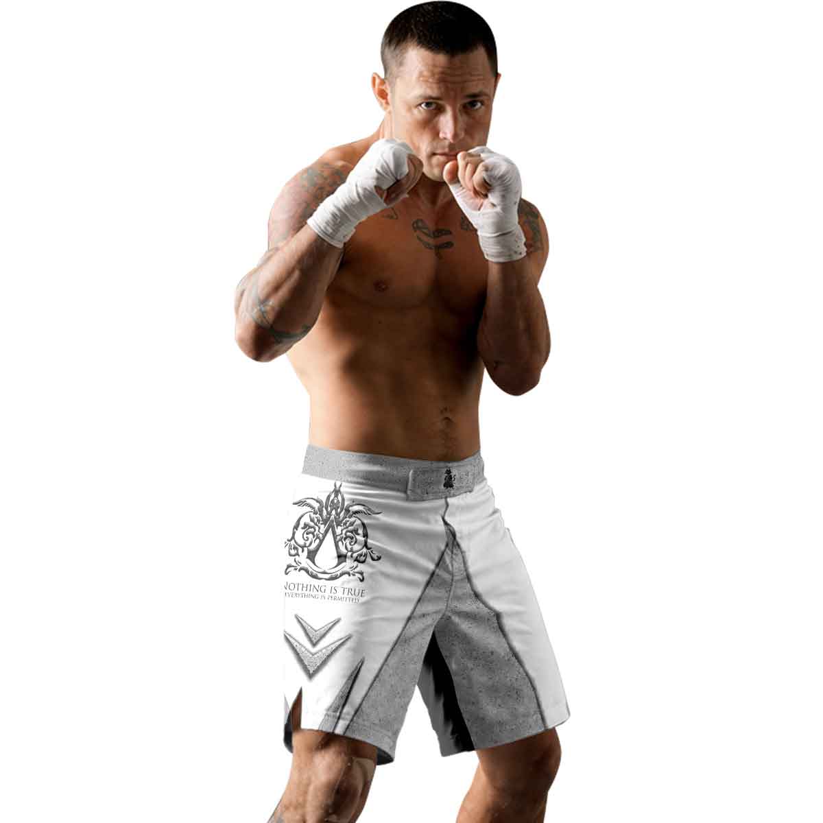 Assassin's Creed Nothing Is True Fight Shorts