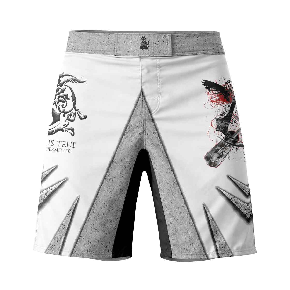  Assassin's Creed Nothing Is True Fight Shorts