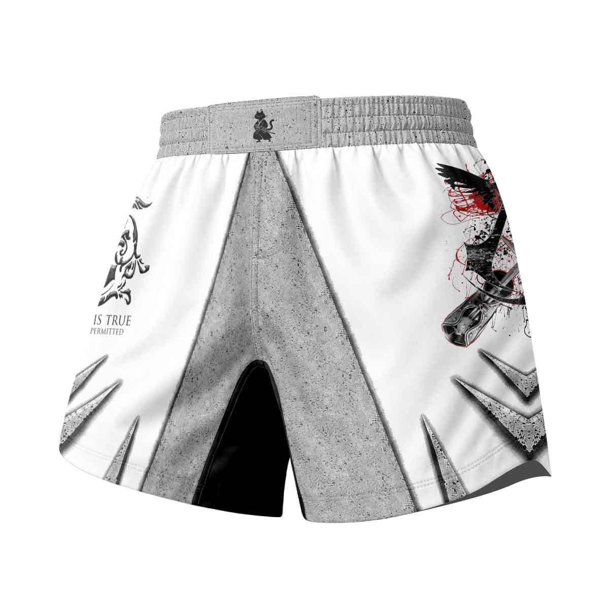  Assassin's Creed Nothing Is True Grappling Shorts