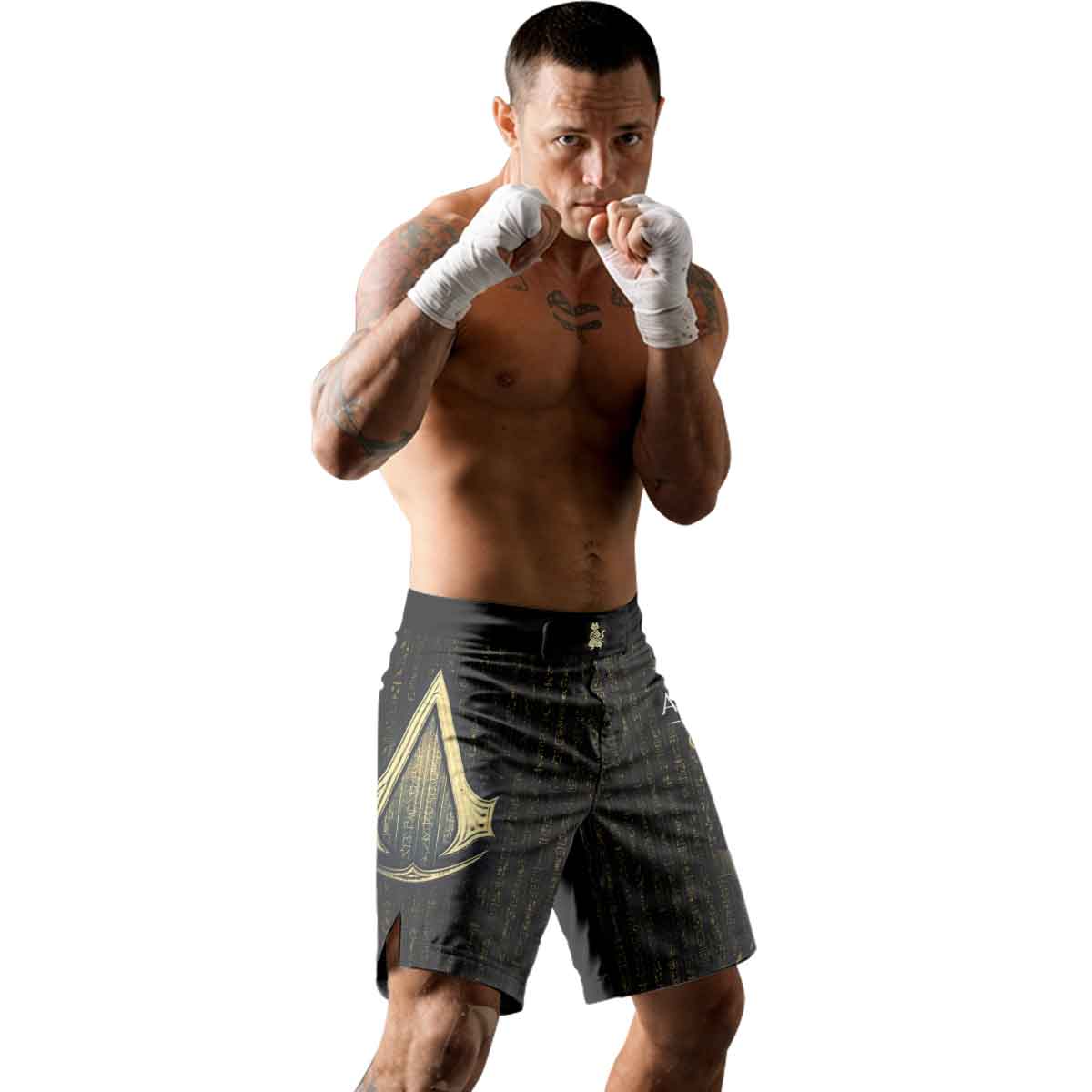 Assassin's Creed Origins Fight Shorts