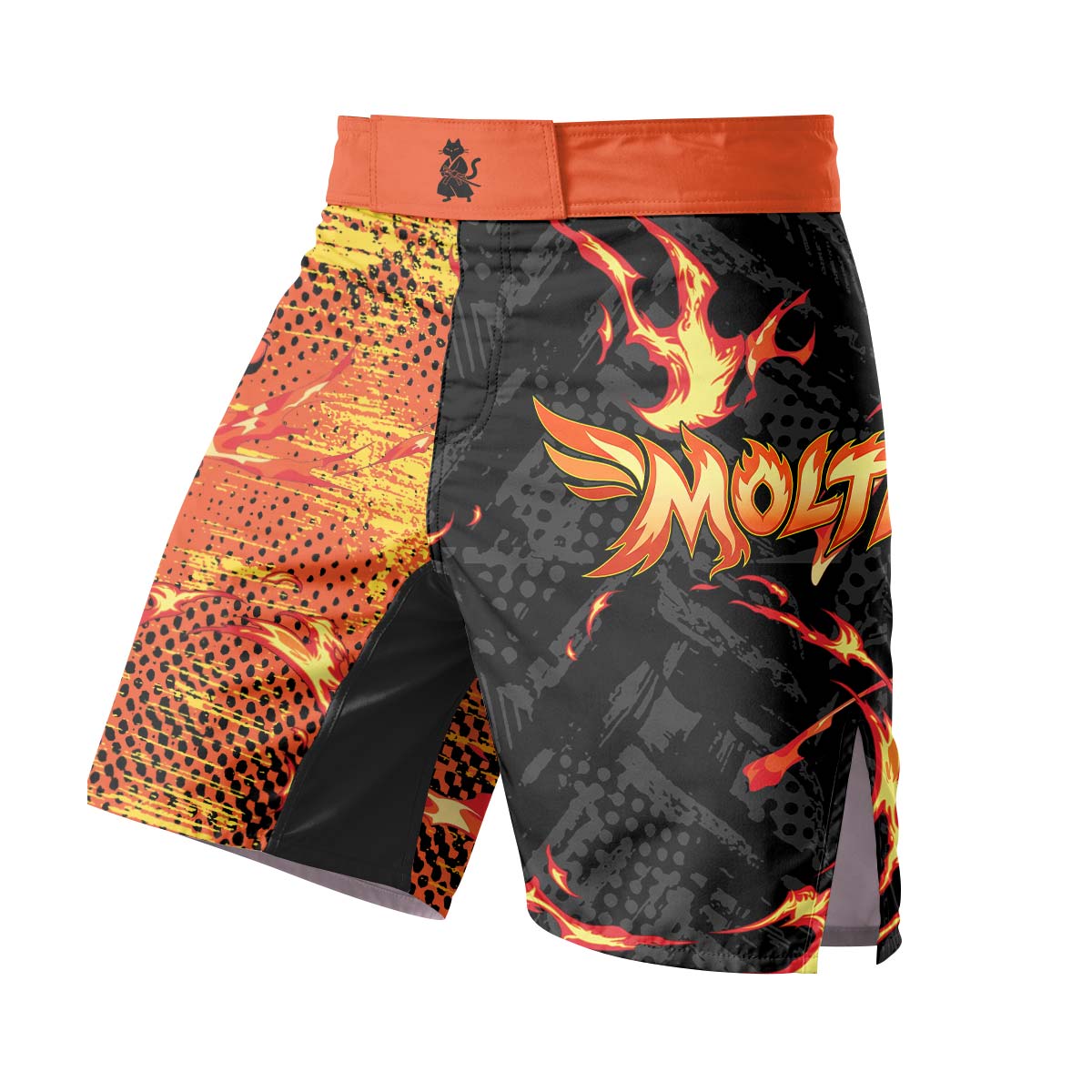  Pokemon Moltres Fight Shorts