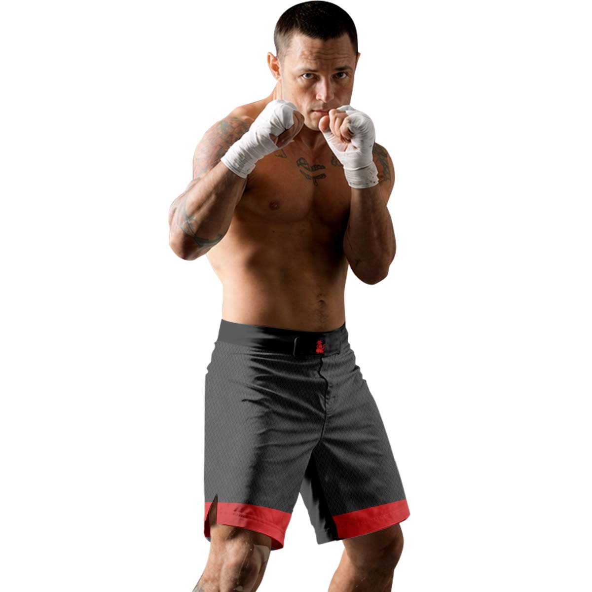 Spider Man BJJ Cosplay Fight Shorts