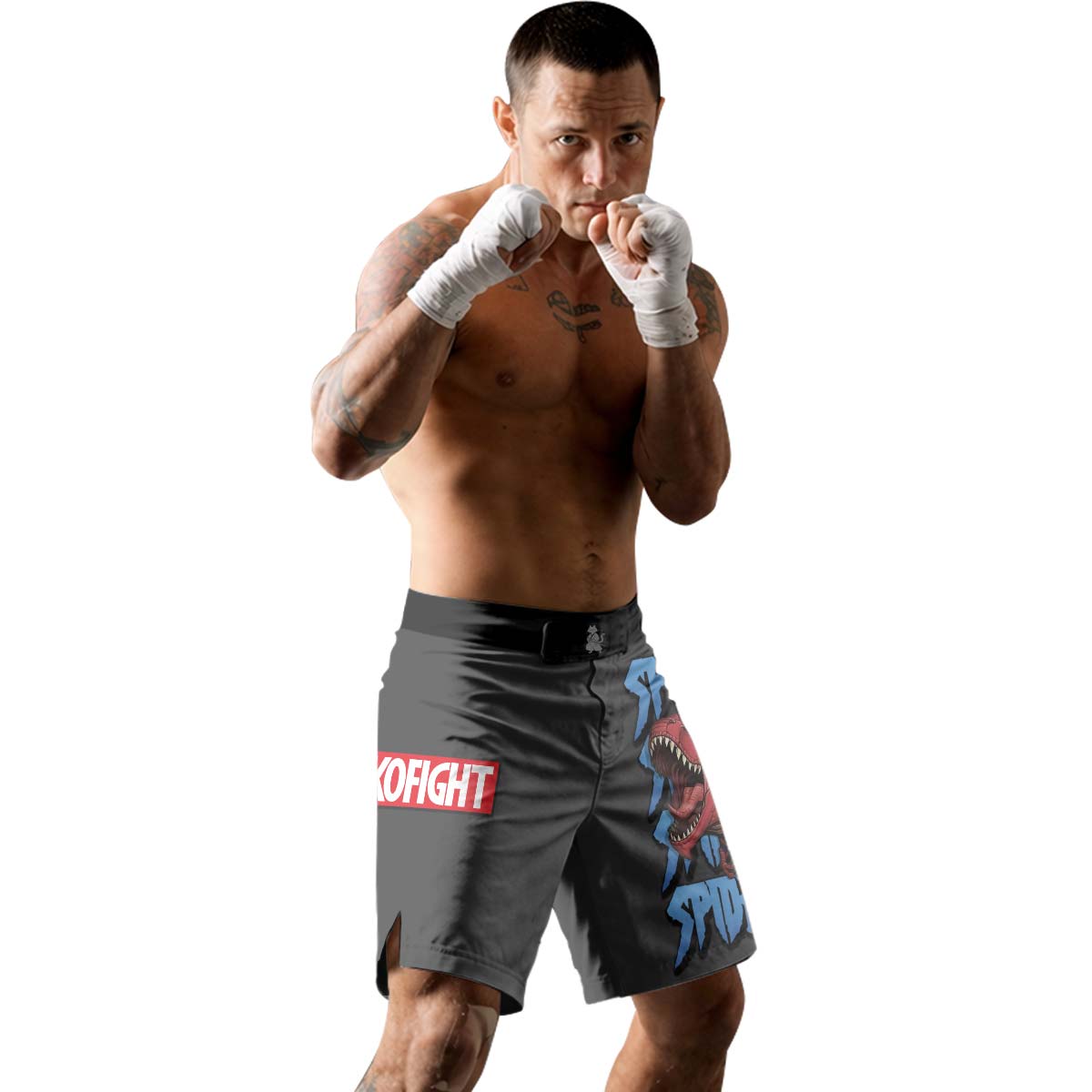 Spider Rex Fight Shorts