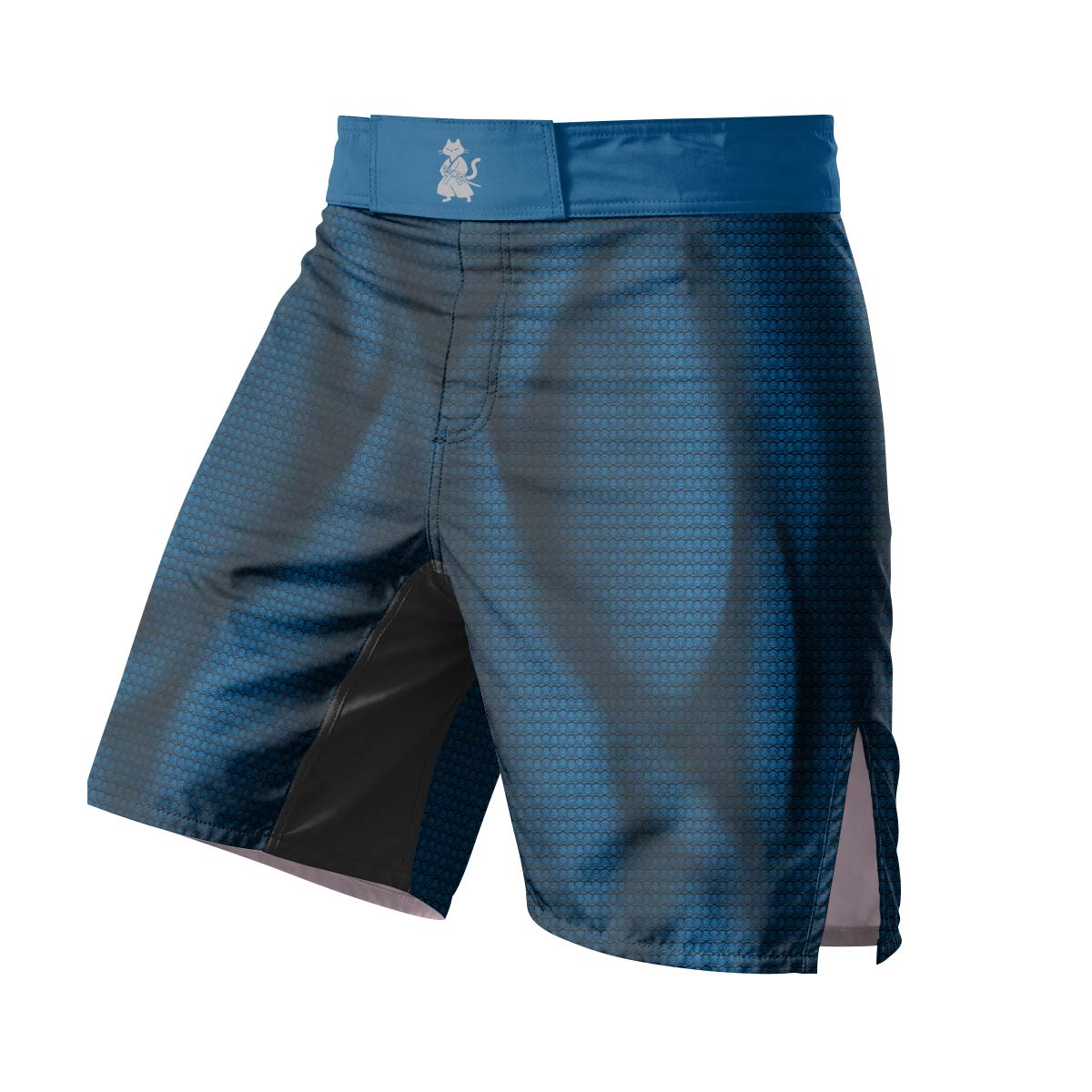 Super Man Blue Fight Shorts