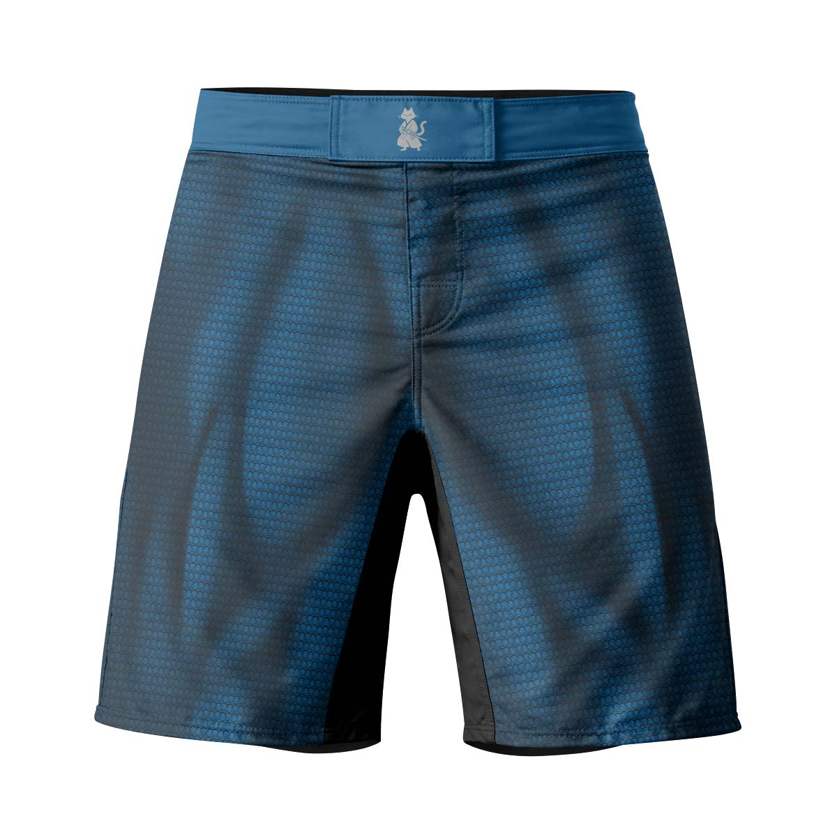 Super Man Blue Fight Shorts